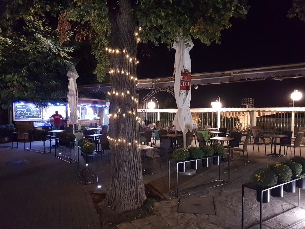 בלגרד Apartment Aleksandar מראה חיצוני תמונה
